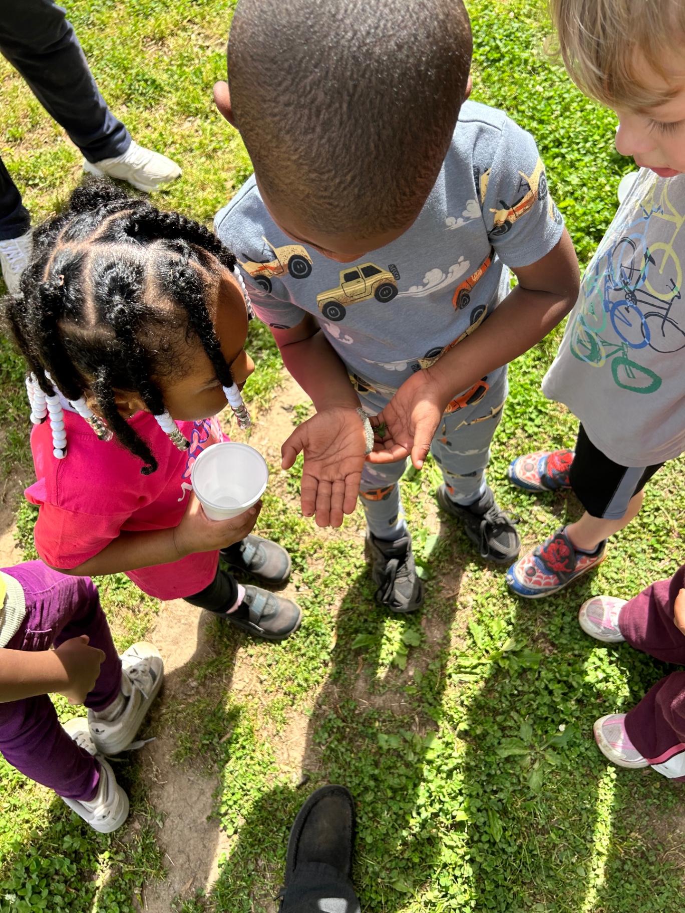 Children exploring outdoors together